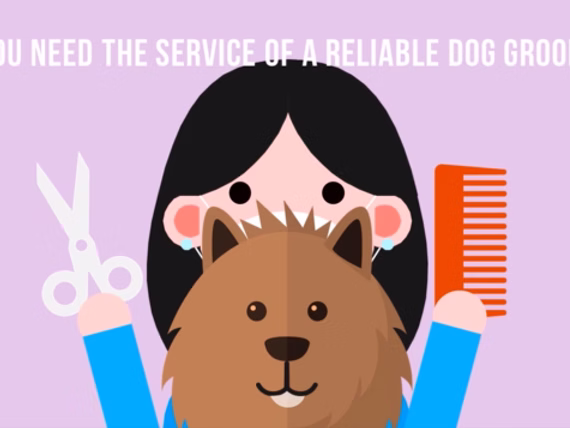 06 Mobile Pet Grooming